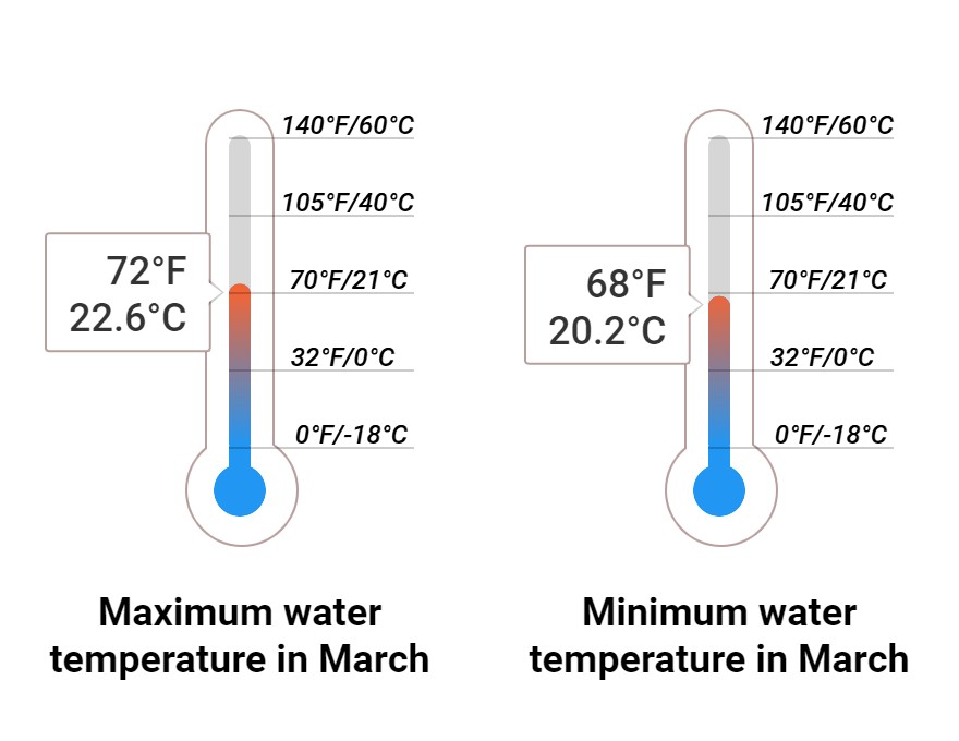 Average Sea temperature